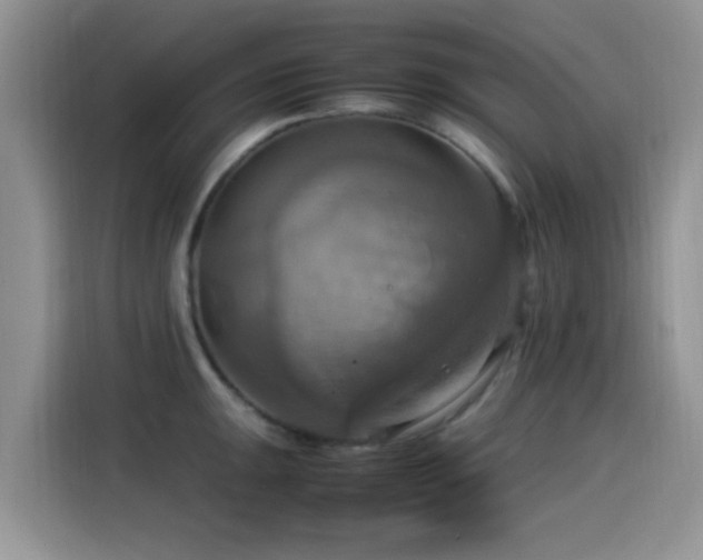 X0000115561047200911061549