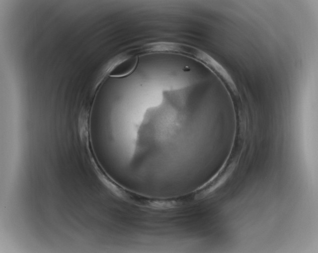 X0000115561049200911061549