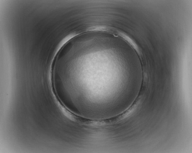 X0000115561050200911061549