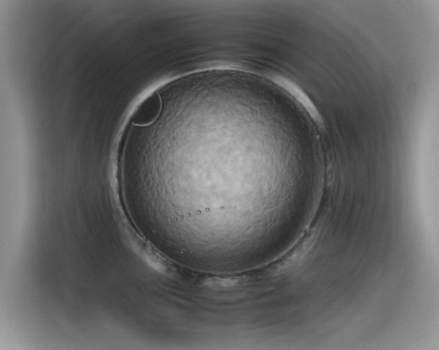 X0000115561051200911061549