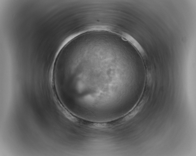 X0000115561052200911061549