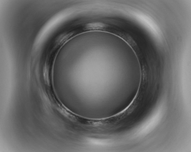 X0000115561054200911061549