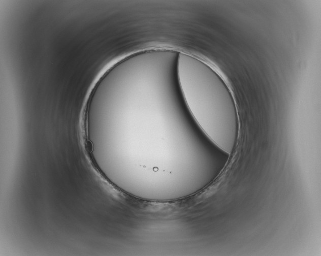 X0000115561056200911061549