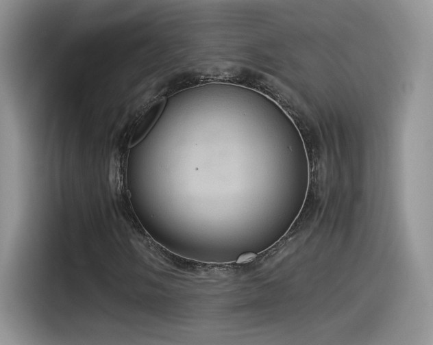 X0000115561058200911061549