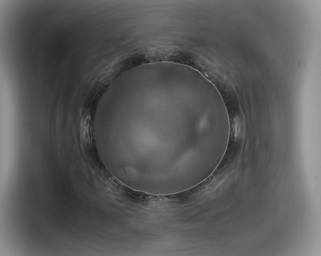 X0000115561059200911061549