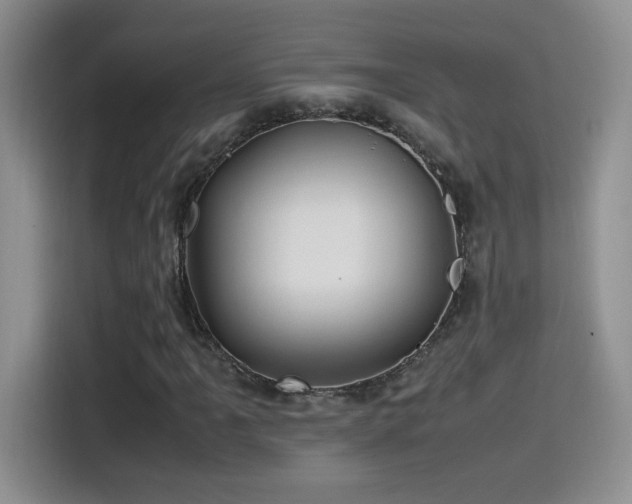 X0000115561061200911061548