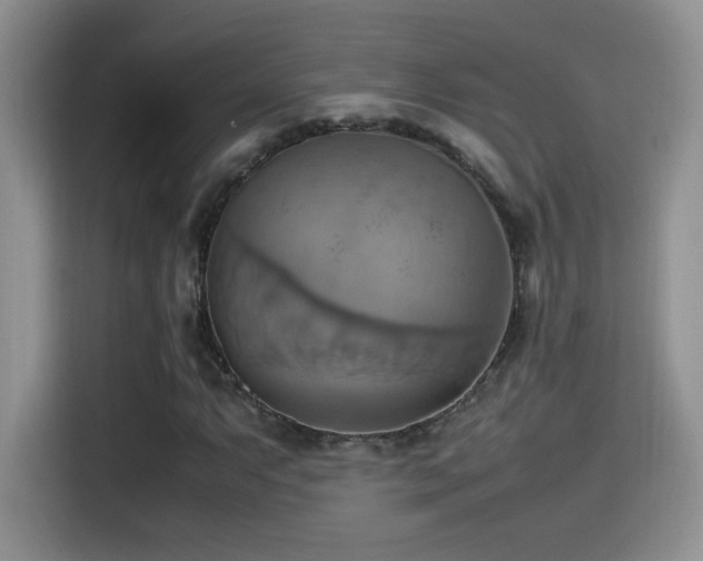 X0000115561063200911061548