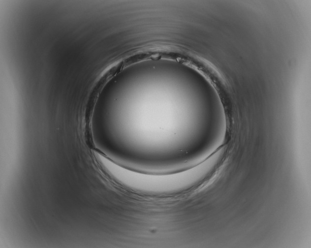 X0000115561065200911061548