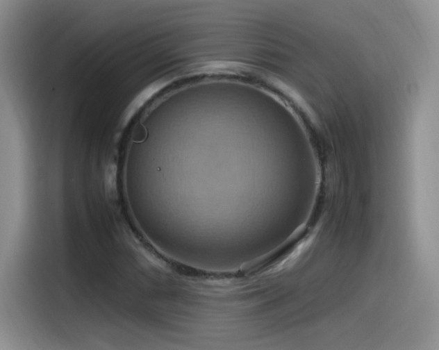 X0000115561066200911061548