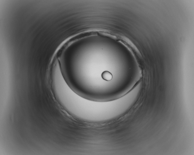 X0000115561068200911061548