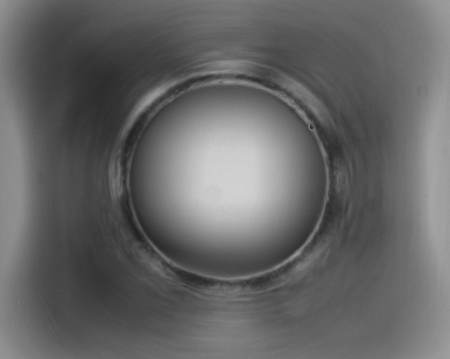 X0000115561069200911061548