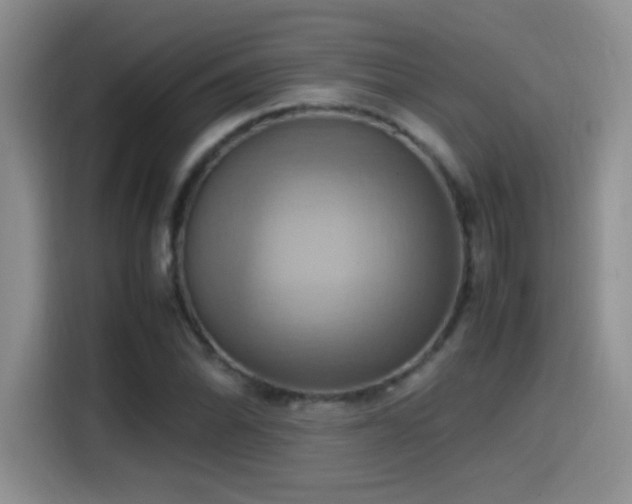 X0000115561070200911061548