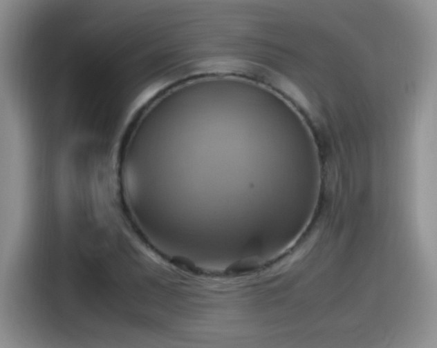 X0000115561071200911061548