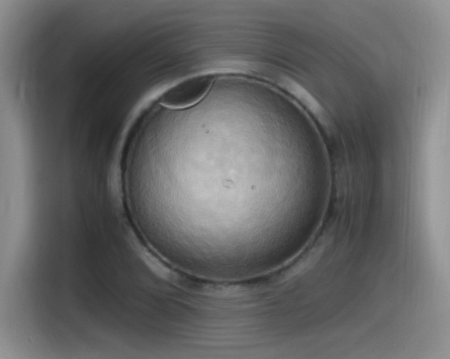 X0000115561072200911061548