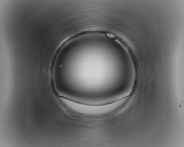 X0000115561073200911061548