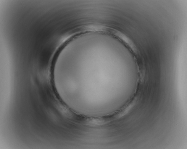 X0000115561074200911061548