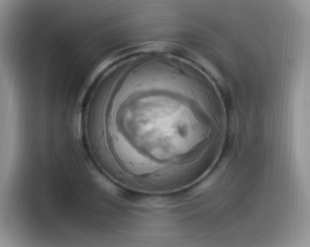 X0000115561075200911061548