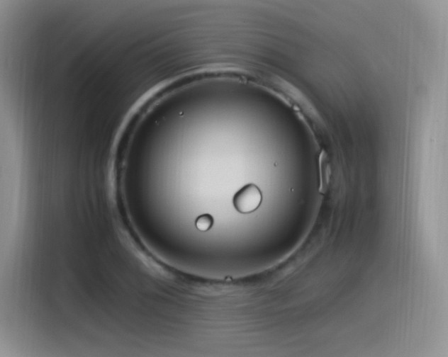 X0000115561076200911061548