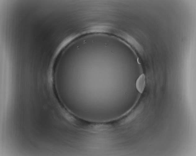 X0000115561077200911061548