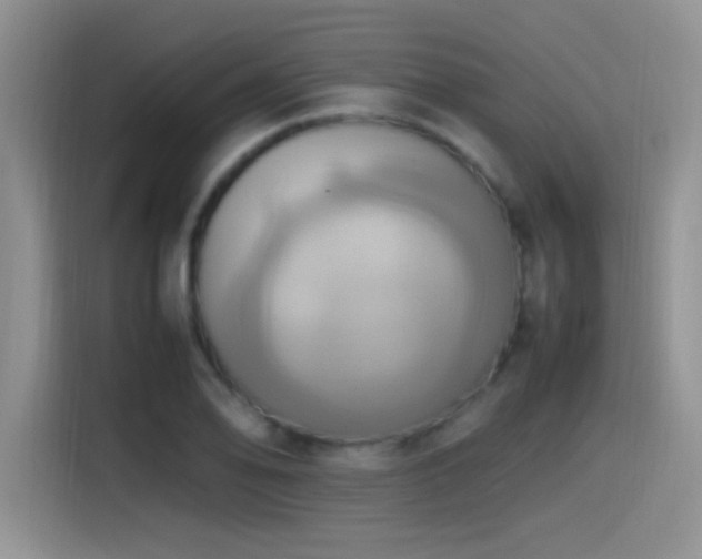 X0000115561078200911061548