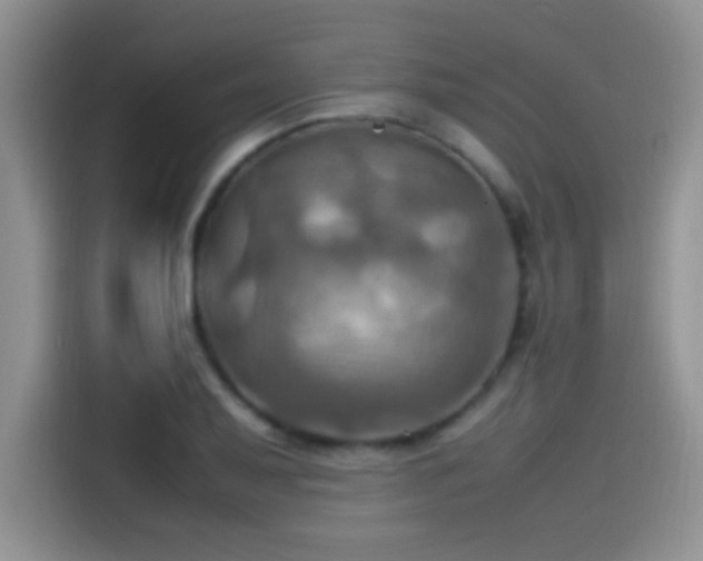 X0000115561079200911061548