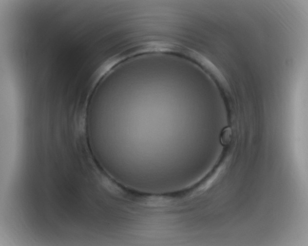 X0000115561081200911061548