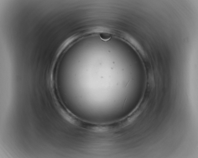 X0000115561082200911061548