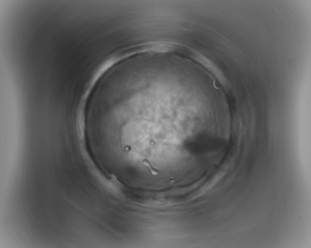 X0000115561083200911061548