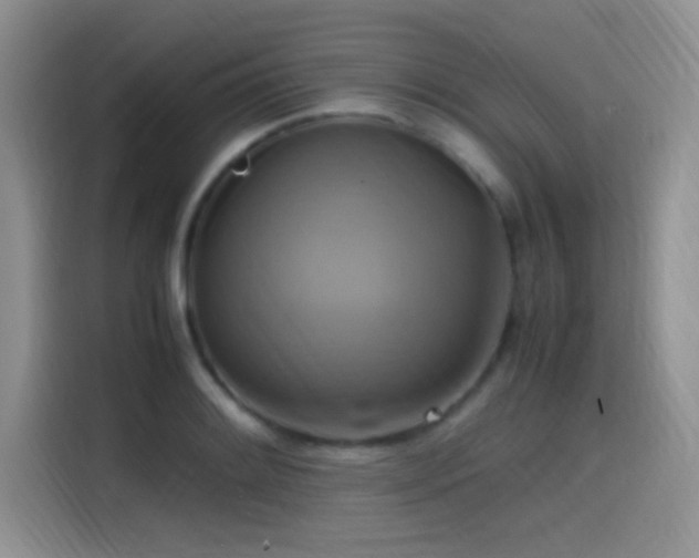 X0000115561084200911061548