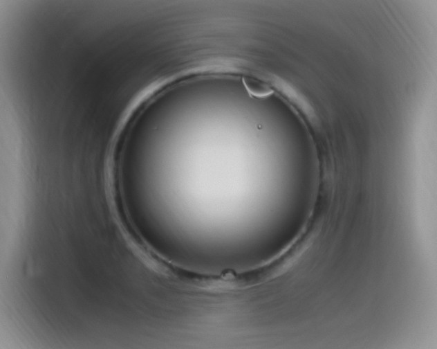 X0000115561085200911061548