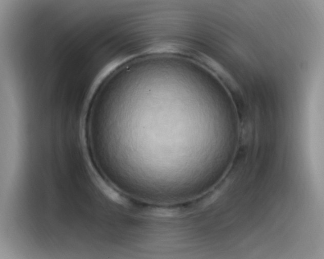 X0000115561086200911061548