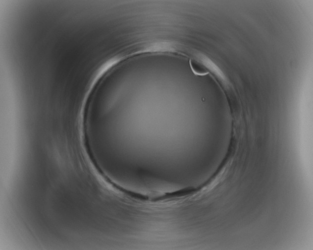 X0000115561087200911061548