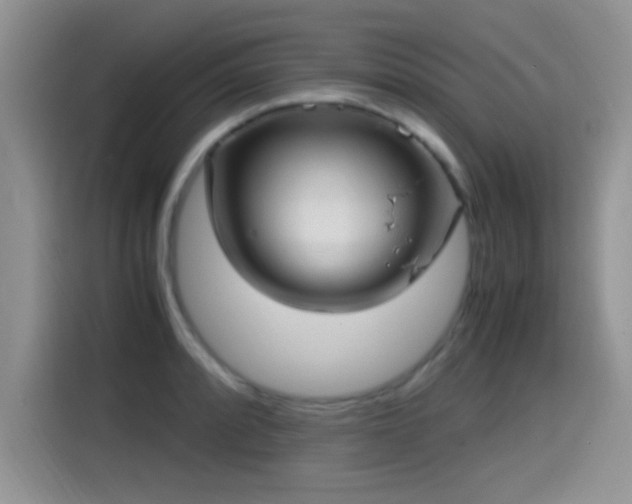 X0000115561088200911061548