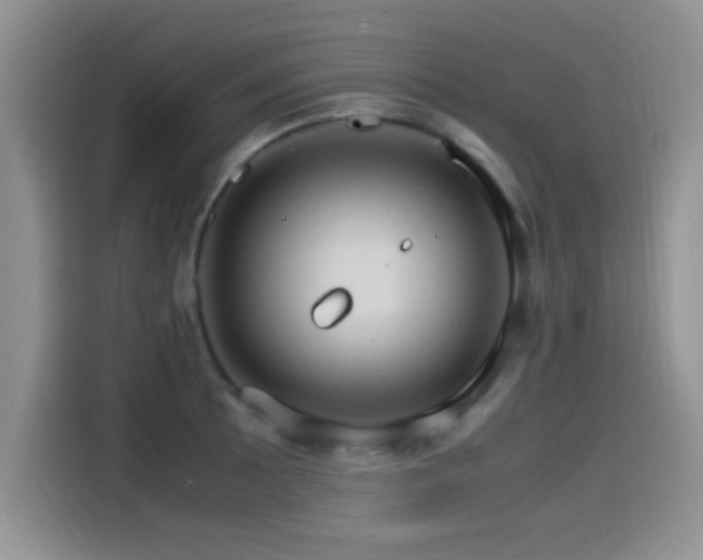 X0000115561089200911061548