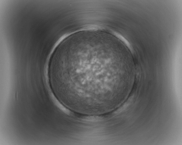 X0000115561091200911061548