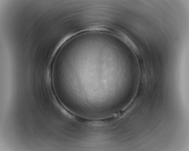 X0000115561092200911061548