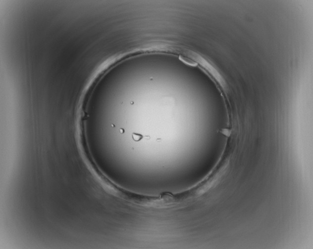 X0000115561093200911061548