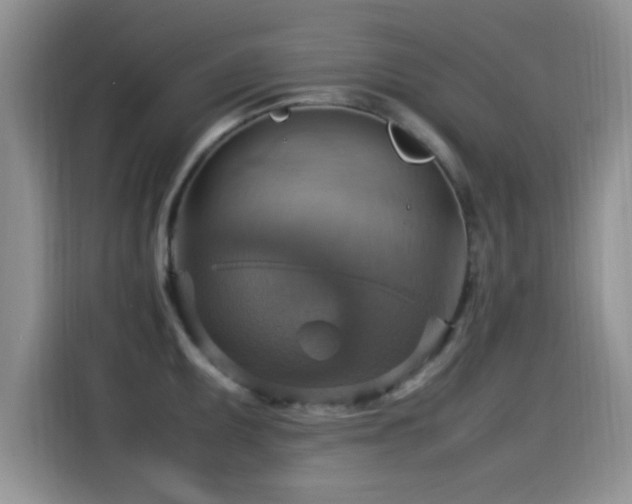 X0000115561095200911061548