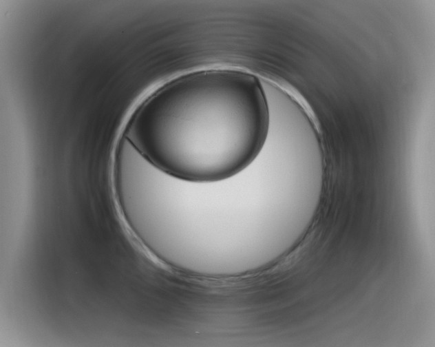 X0000115561096200911061548