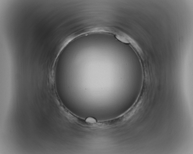 X0000115561097200911061548
