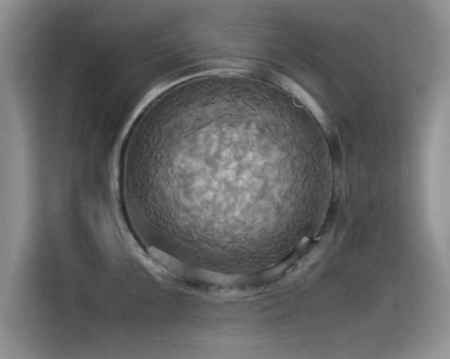 X0000115561099200911061548
