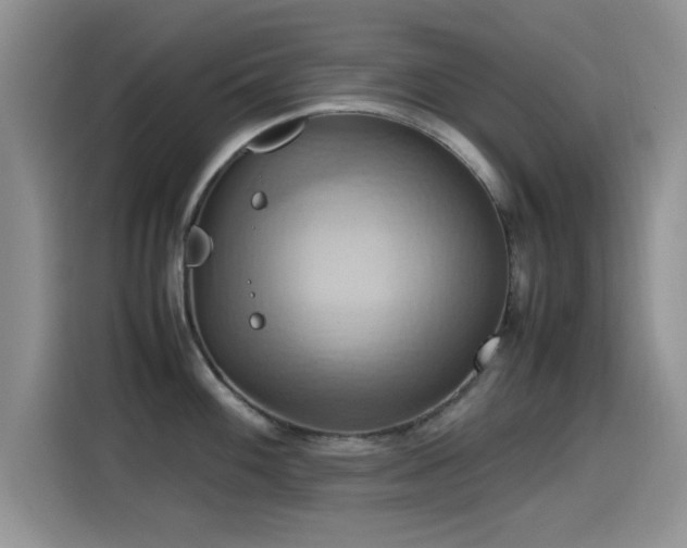 X0000115561100200911061548