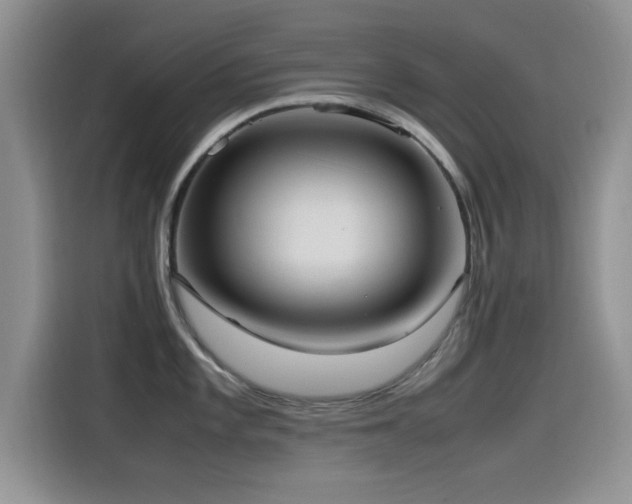 X0000115561101200911061548