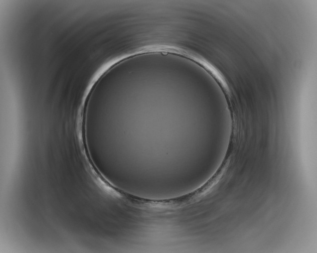 X0000115561102200911061548