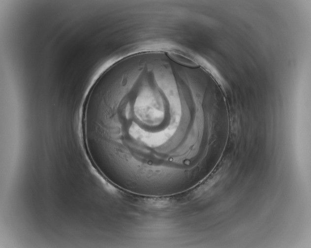 X0000115561103200911061548