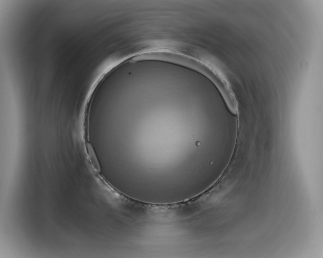 X0000115561104200911061548