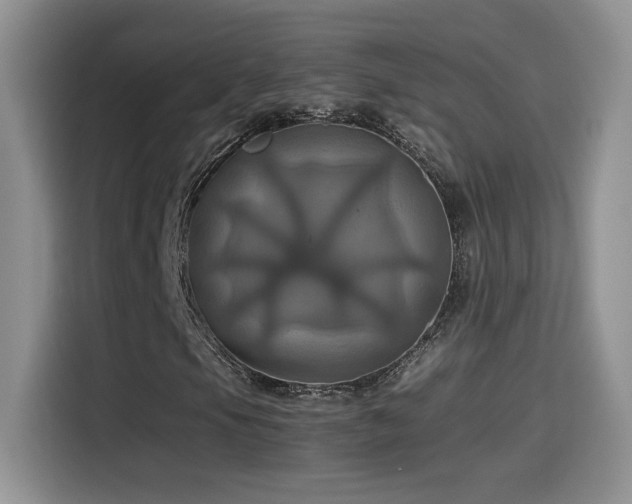 X0000115561105200911061547
