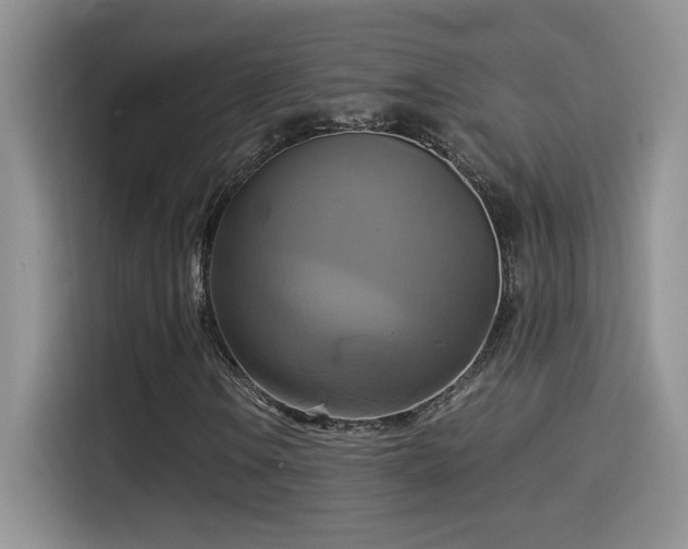 X0000115561106200911061547