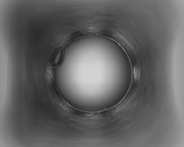 X0000115561107200911061547