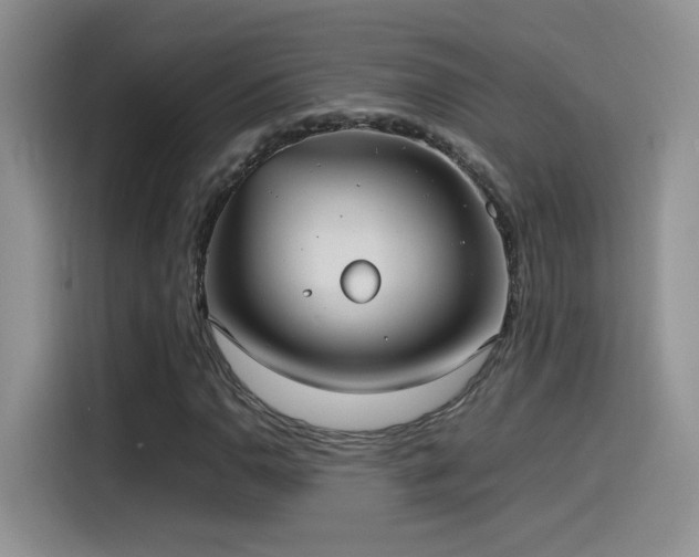 X0000115561110200911061547